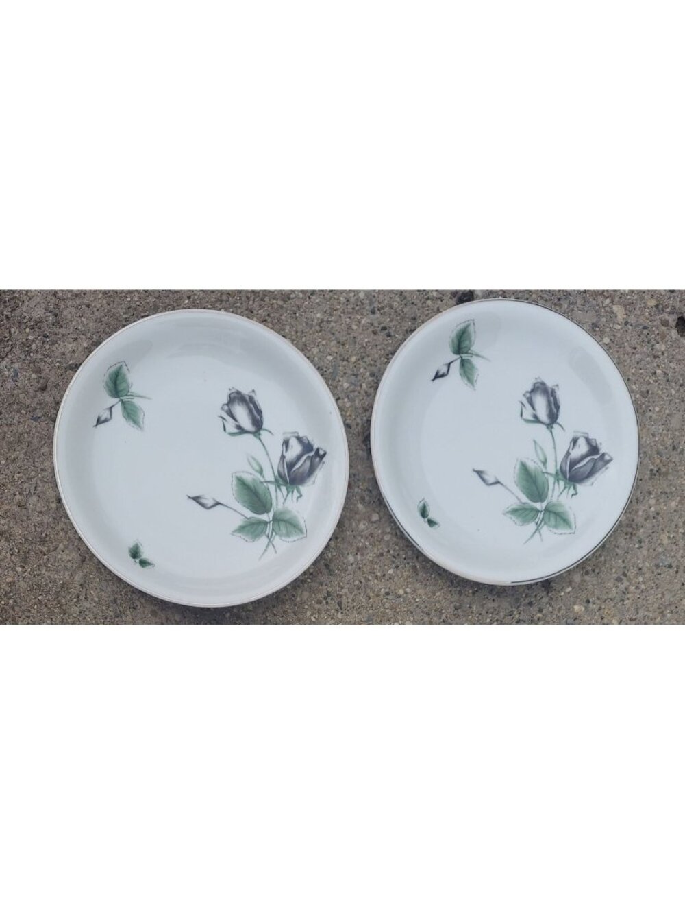 2 Rosenthal - Continental Midnight Rose 9 3/4" Dinner Plates
